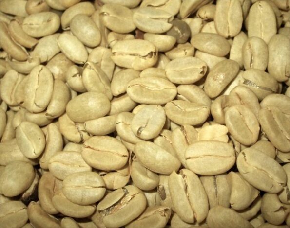 green-coffee-beans