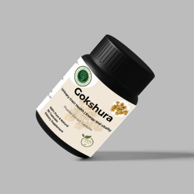 7 Shocking Reasons for Low Testosterone, Energy & Stamina