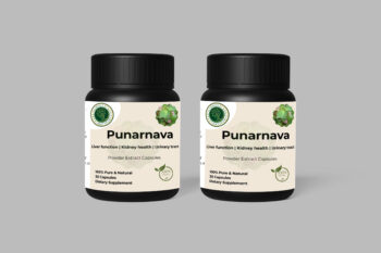 Punarnava Extract Capsules - Support Kidney and Liver Health