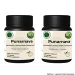 Punarnava Extract Capsules – Support Kidney and Liver Health