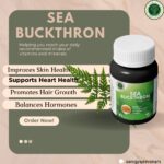 Premium Sea Buckthorn Extract Capsules – Boost Your Health Naturally