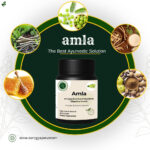 Amla Extract Capsules – Immune Health