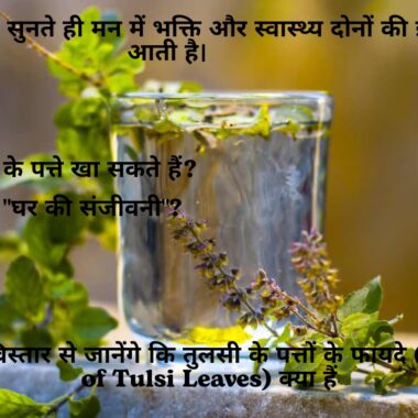 10 असरदार आयुर्वेदिक नुस्खे | रोज़मर्रा की बीमारियों के घरेलू उपाय