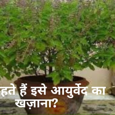मोटापा घटाएं तेजी से! 7 आसान घरेलू टिप्स जो आपकी लाइफ बदल देंगे