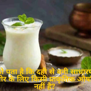 डिटॉक्स ड्रिंक्स: घर पर बनने वाले 5 हेल्दी ड्रिंक्स