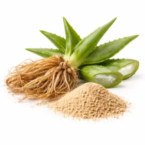 Aloe Vera