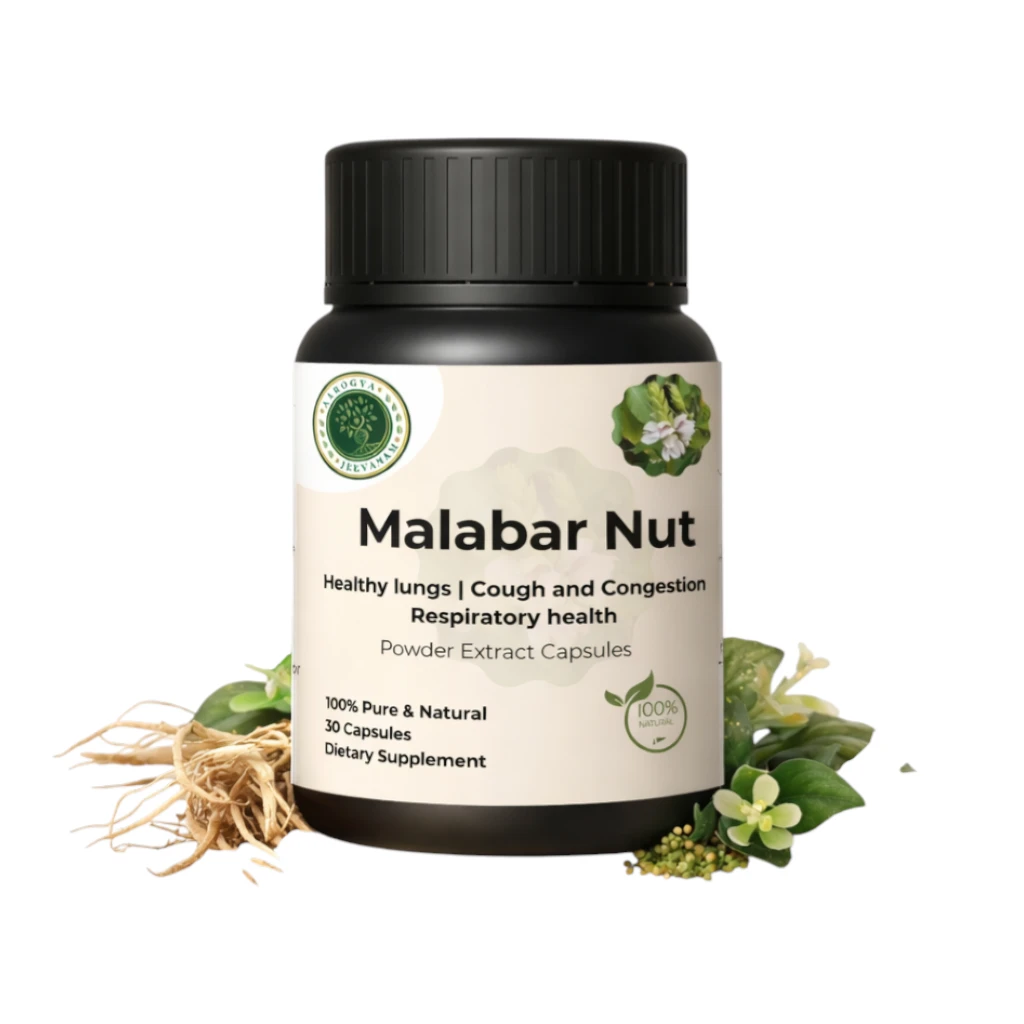 Malabar Nut