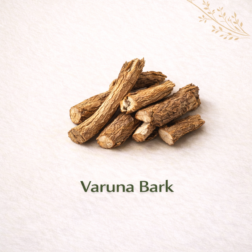 Varuna Bark (Crataeva nurvala)