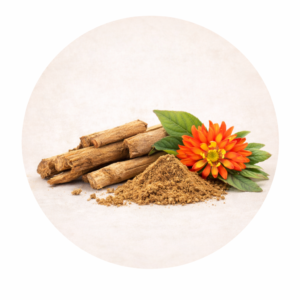 Pure Ashoka (Saraca asoca) Extract 