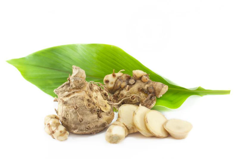 Curcuma Comosa Extract