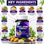 Key Ingredients for Spine Comfort