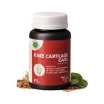 Knee cartilage care