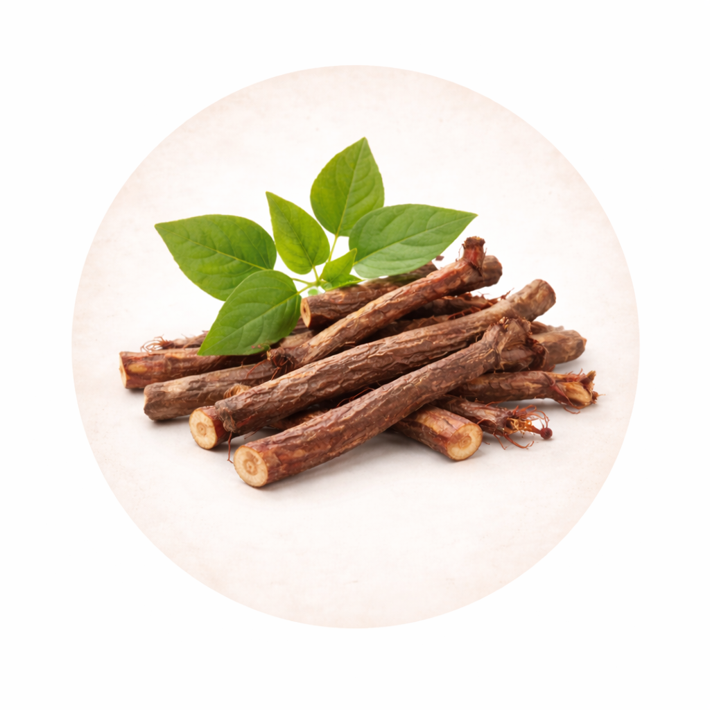 Majeth (Manjistha – Rubia cordifolia)