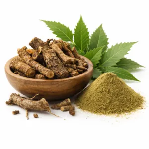 Neem (Azadirachta indica)