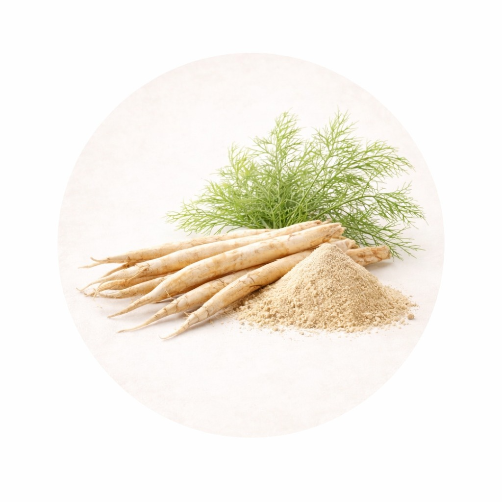 Shatavari (Asparagus racemosus)