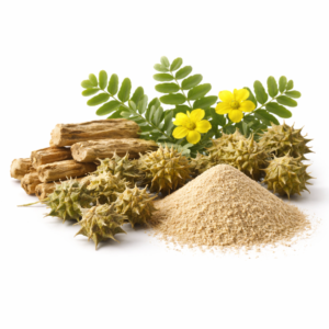 Tribulus terrestris 