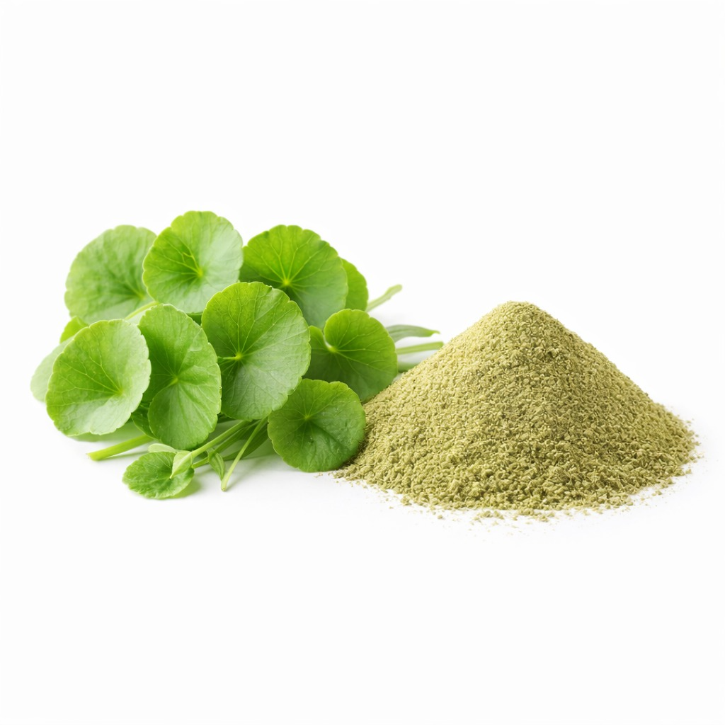 Gotu Kola (Centella asiatica)