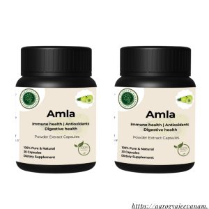 Amla Capsules (30 VEG. CAPS)