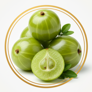 Amlaki