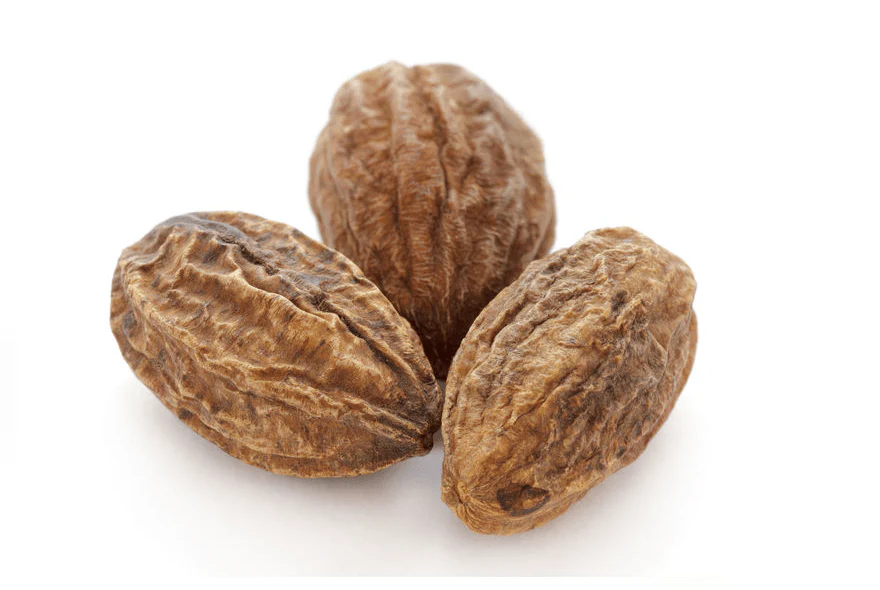 Haritaki (Terminalia chebula)