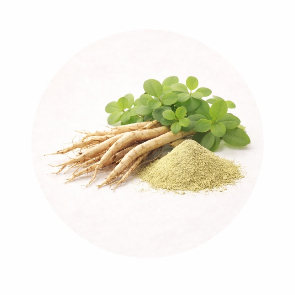 Pure Brahmi (Bacopa monnieri) Extrac