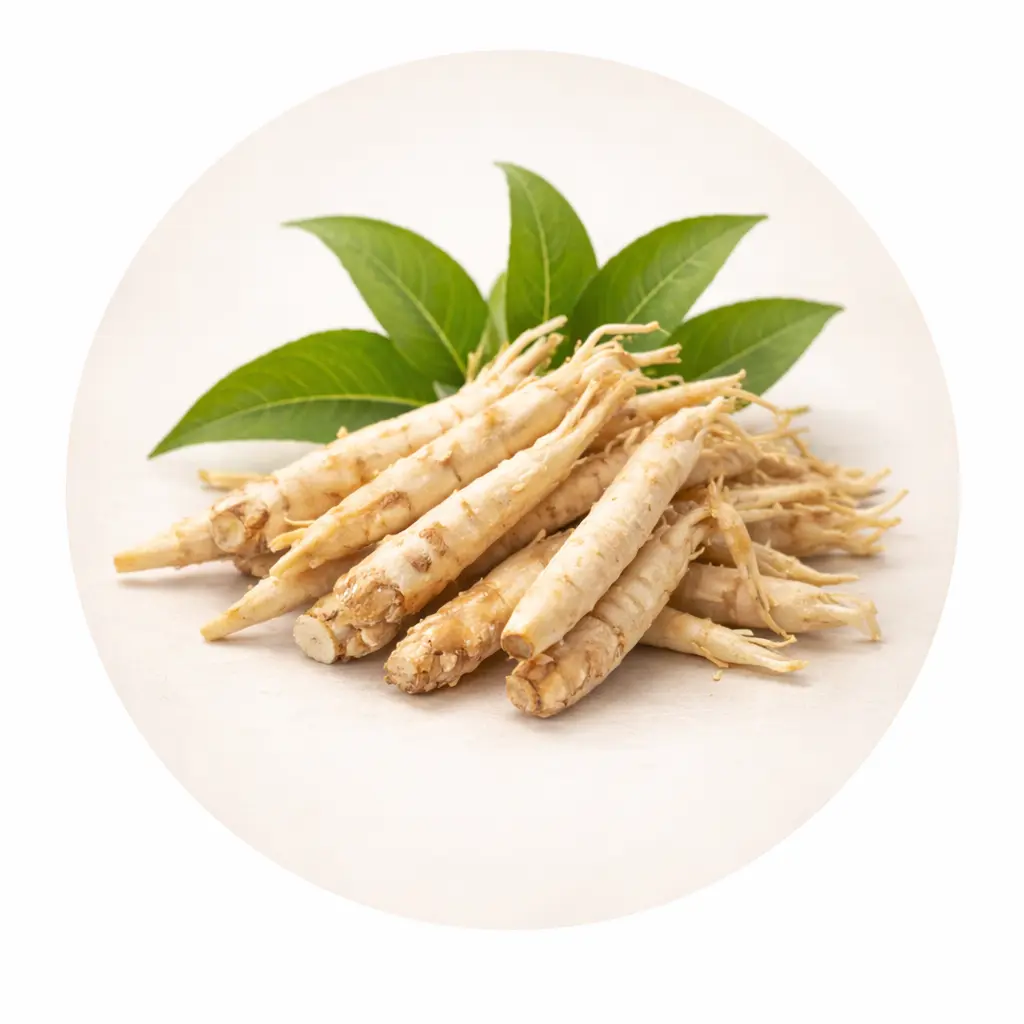 Ashwagandha Root Extract (Withania somnifera)