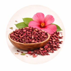 Hibiscus Flower 
