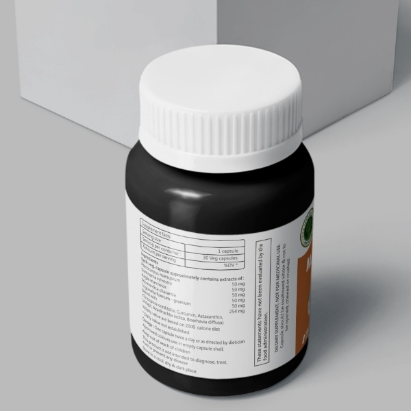 MADHUMEHA AVRODHAK+ (30 VEG. CAPS)