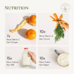 Moringa Capsules – Herbal Supplement for Daily Wellness