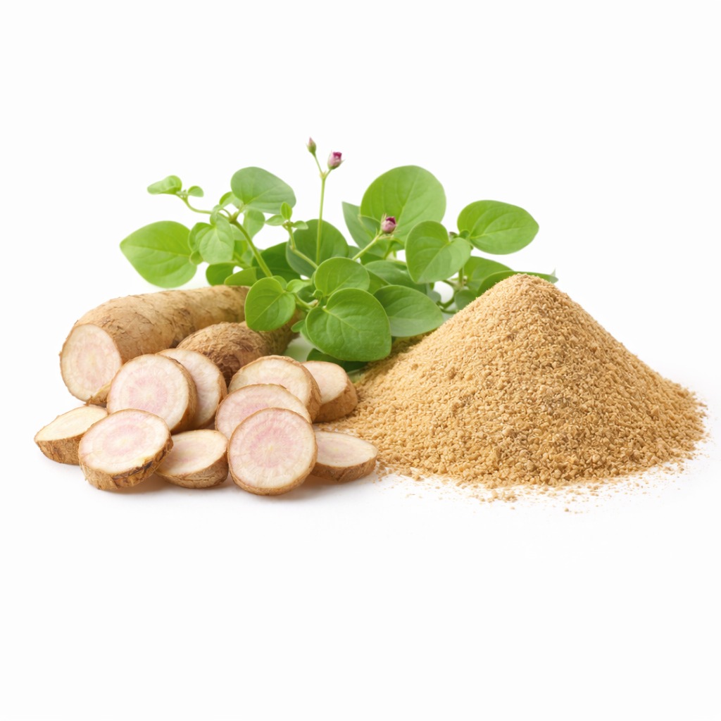 Punarnava (Boerhavia diffusa)