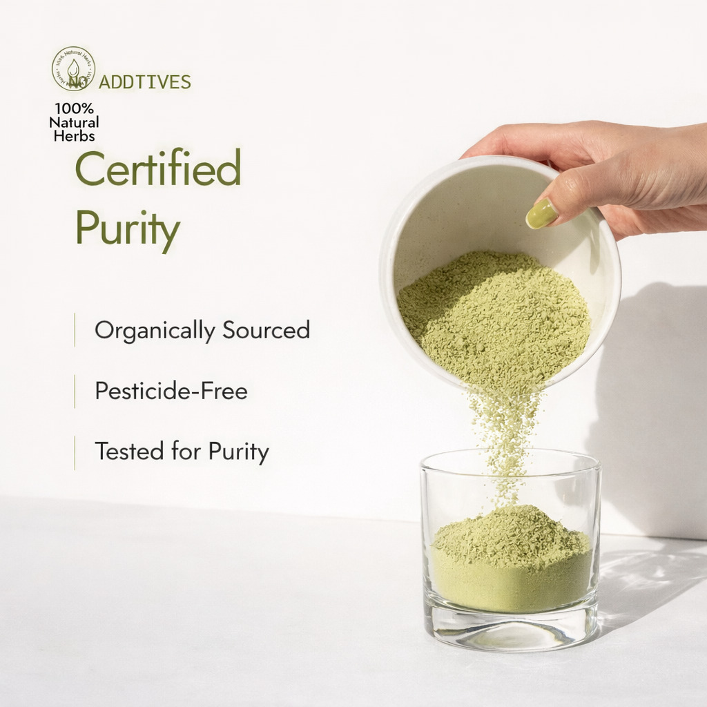 Moringa Capsules – Herbal Supplement for Daily Wellness