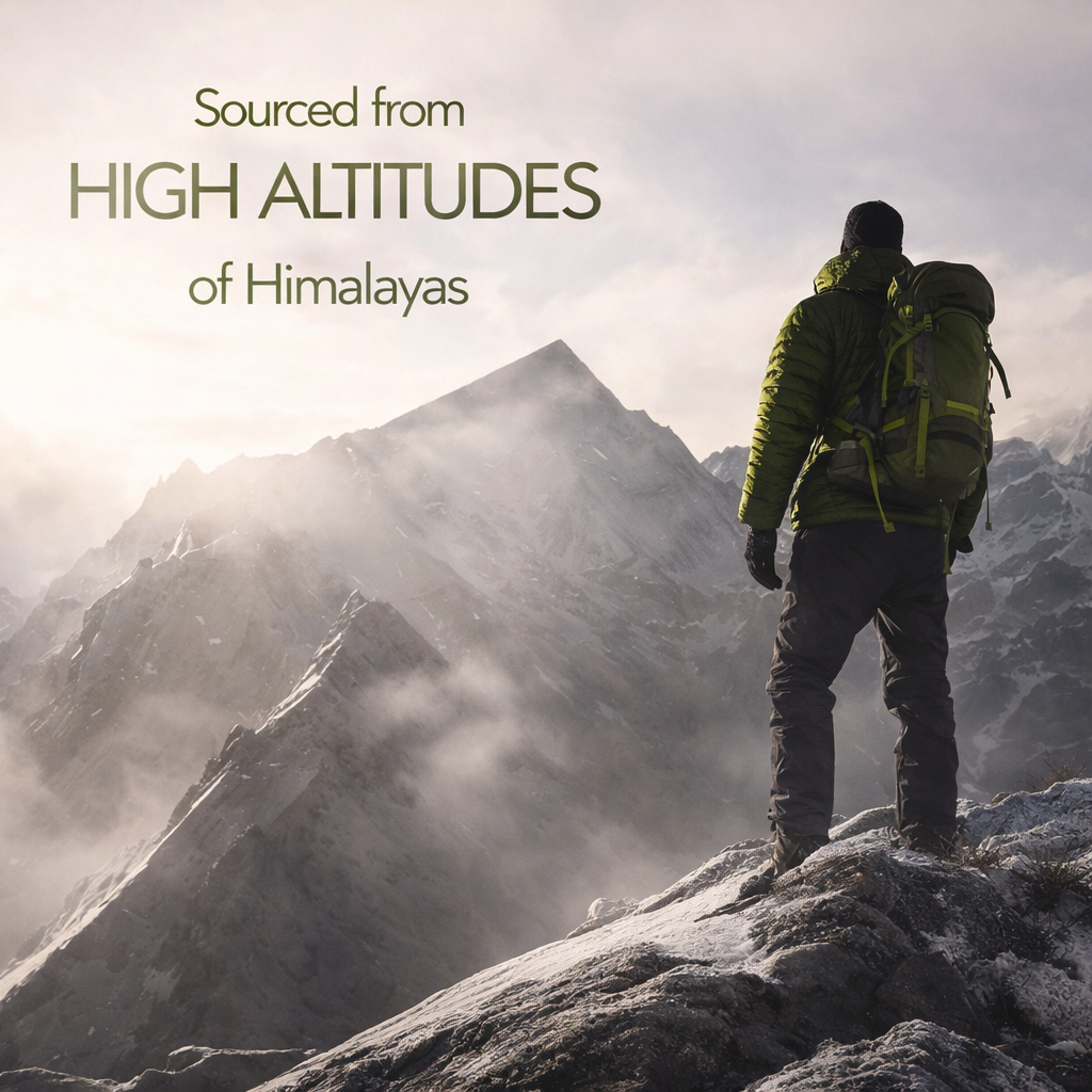 Shilajit Capsules – Natural Energy & Vitality Support