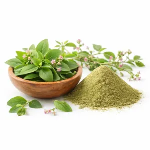 Punarnava Extract