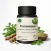 Punarnava Capsules – Natural Kidney & Detox Support