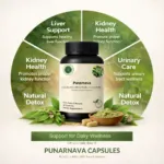Punarnava Capsule benefit