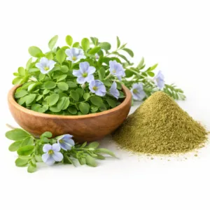 Brahmi (Bacopa monnieri)