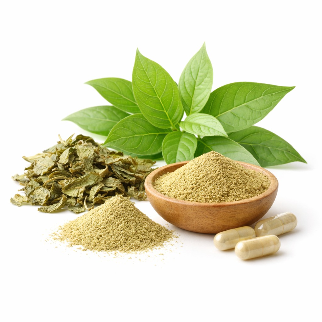 Gymnema (Gymnema sylvestre)